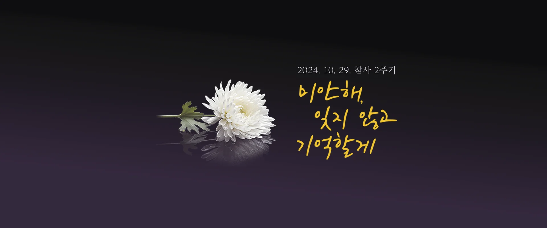 2024. 10. 29. 참사 2주기
미안해. 잊지 않고 기억할게